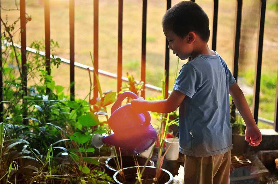 HOG tips on how to  start school garden
